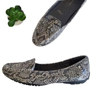ROCKPORT Leather Snake Embossed Flat Loafer Size 7 Adiprene Comfort Black Cream